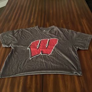 Cropped Wisconsin tshirt